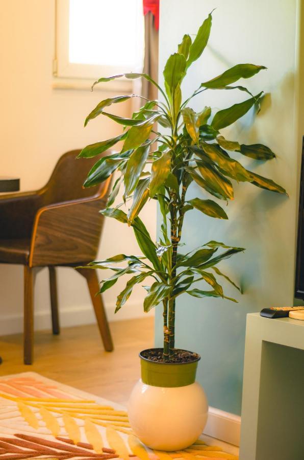 Bright Apartment Close To City Center Tirana Eksteriør billede